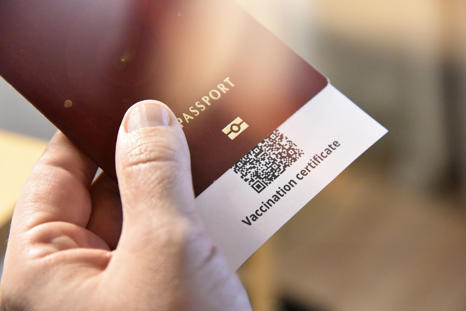 Controale biometrice la frontierele Europene